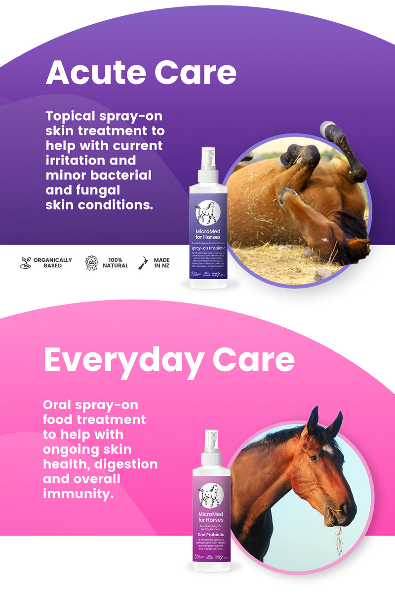 MicroMed probiotics for horse