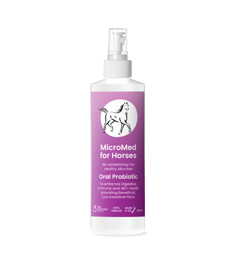 MicroMed for Horses Everyday Care