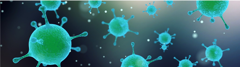 10 reasons why you should get down and dirty with microbes