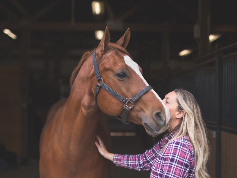 The Science of Commensal Microbes: Evidence-Based Solutions for Equine Health