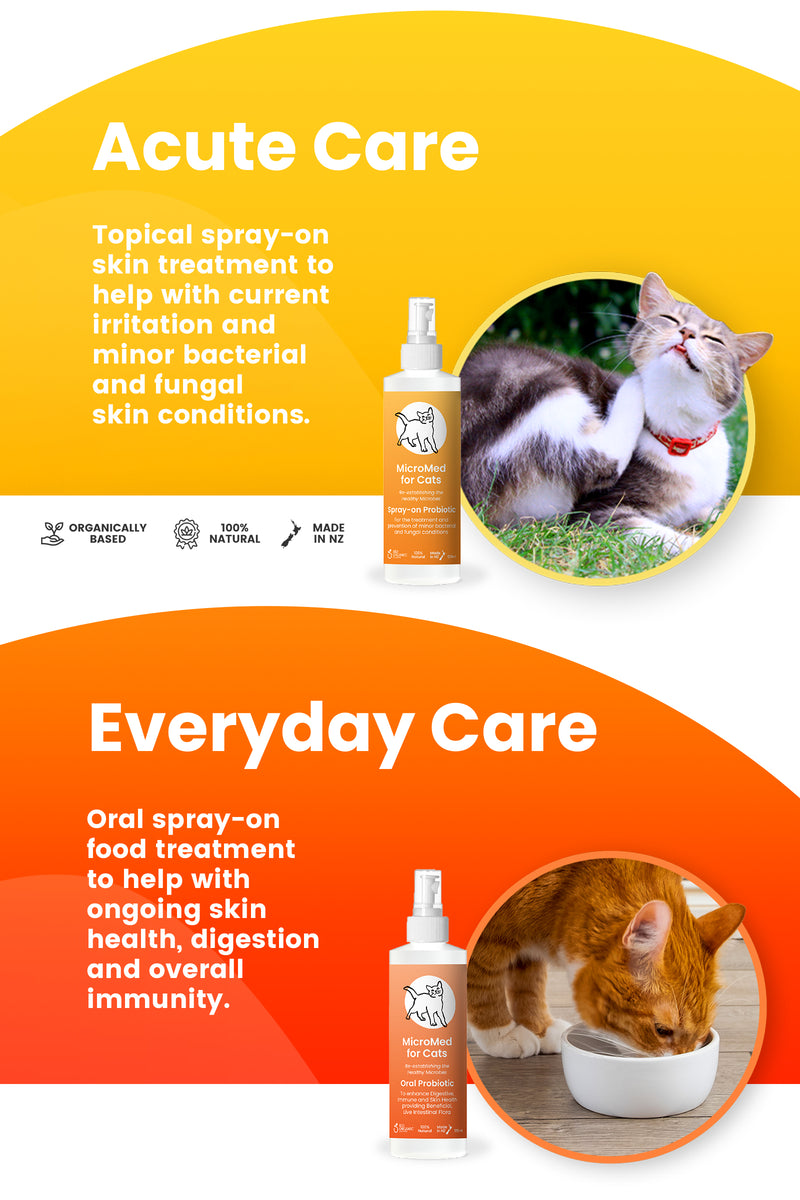 MicroMed probiotics for cats