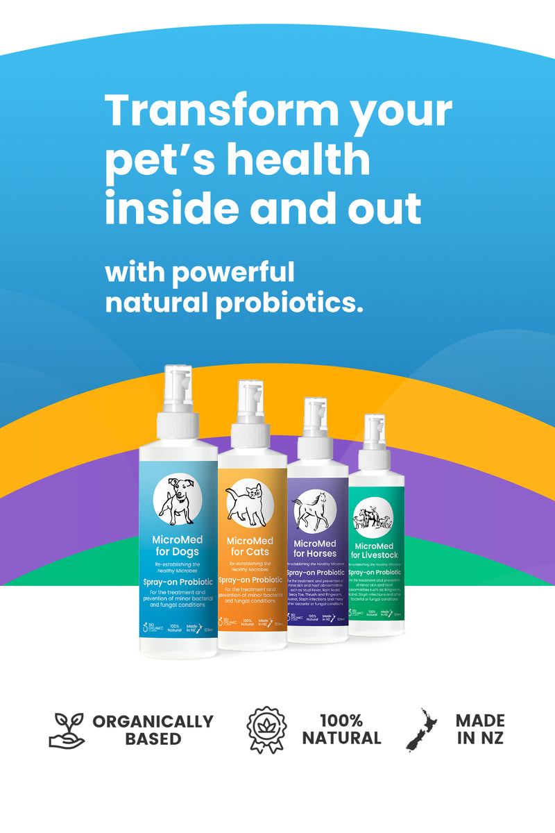 MicroMed probiotics for pets