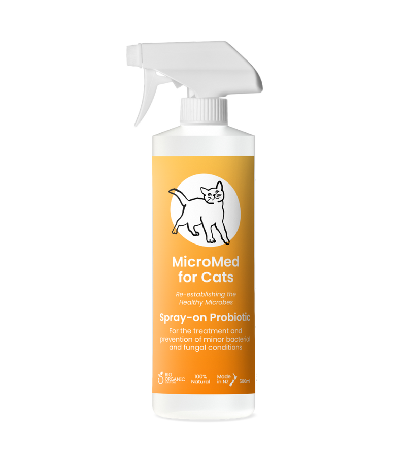 MicroMed for Cats Acute Care