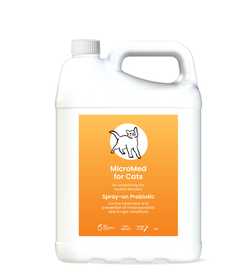 MicroMed for Cats Acute Care